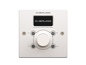 CVGAUDIO ERC-2W 